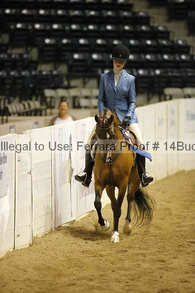 Proof 14buck_5388