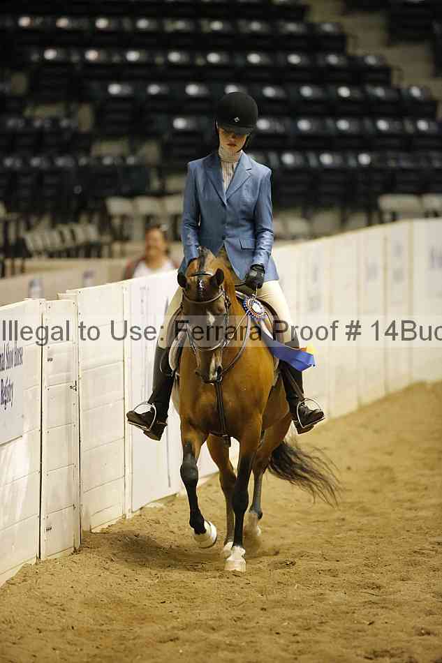 Proof 14buck_5389