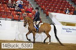 14buck_5390 proof