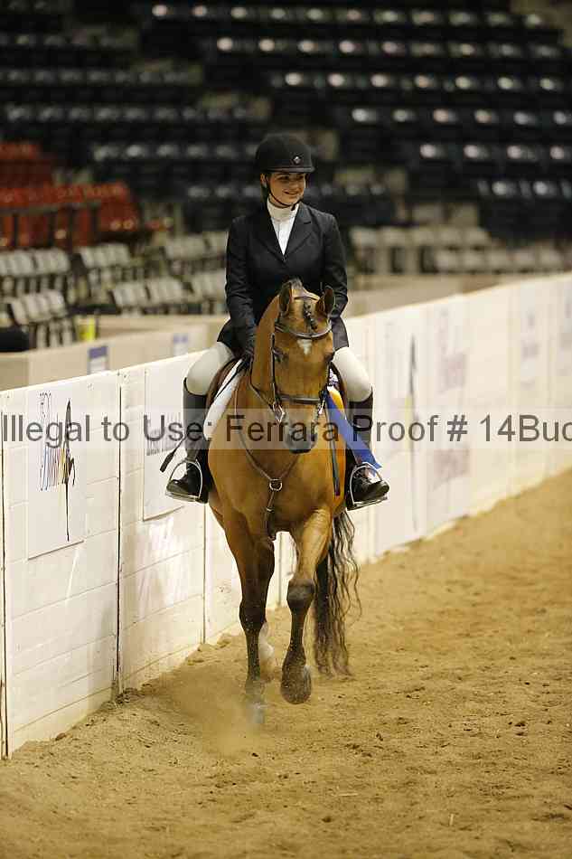 Proof 14buck_5391