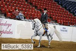 14buck_5392 proof