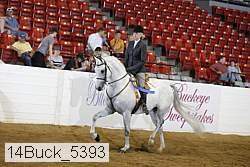14buck_5393 proof