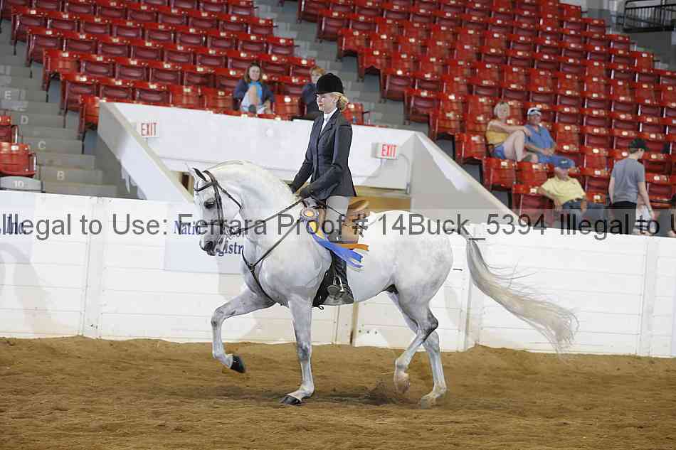 Proof 14buck_5394