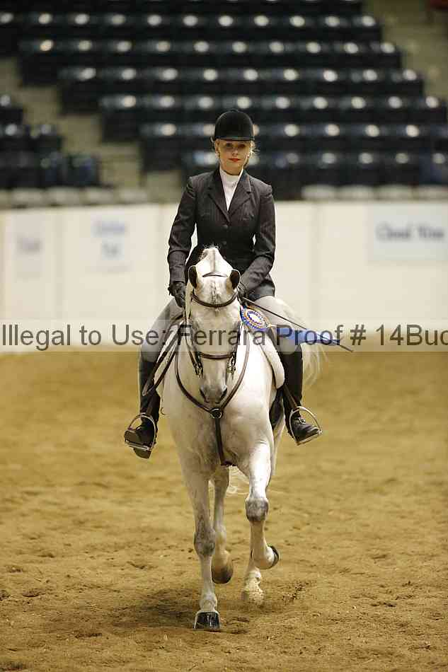 Proof 14buck_5396