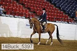 14buck_5397 proof