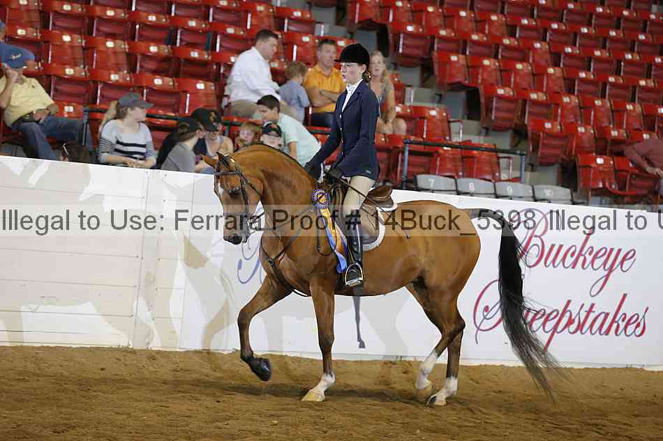 Proof 14buck_5398