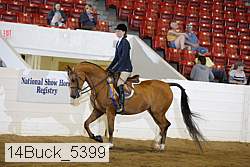 14buck_5399 proof