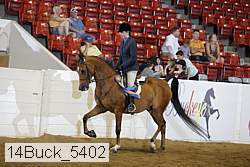 14buck_5402 proof