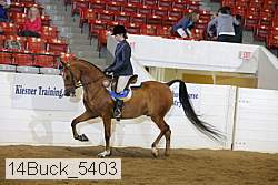 14buck_5403 proof