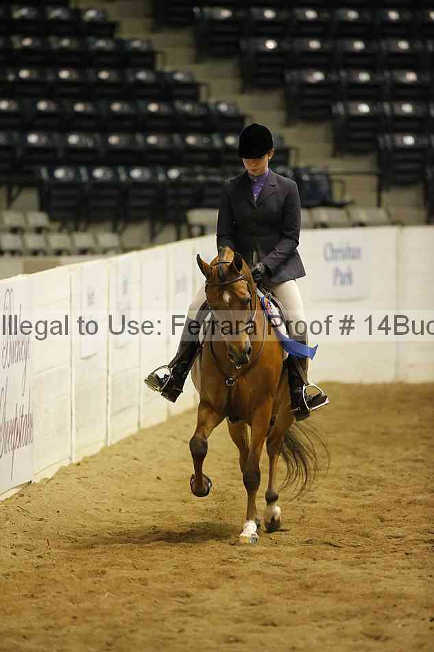 Proof 14buck_5404