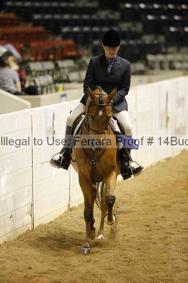 Proof 14buck_5405