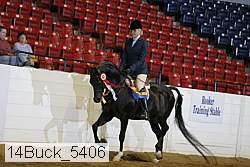 14buck_5406 proof