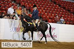 14buck_5407 proof