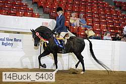 14buck_5408 proof