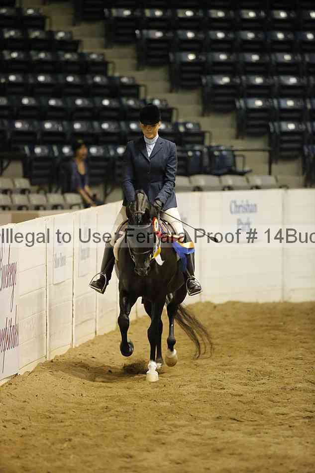 Proof 14buck_5409