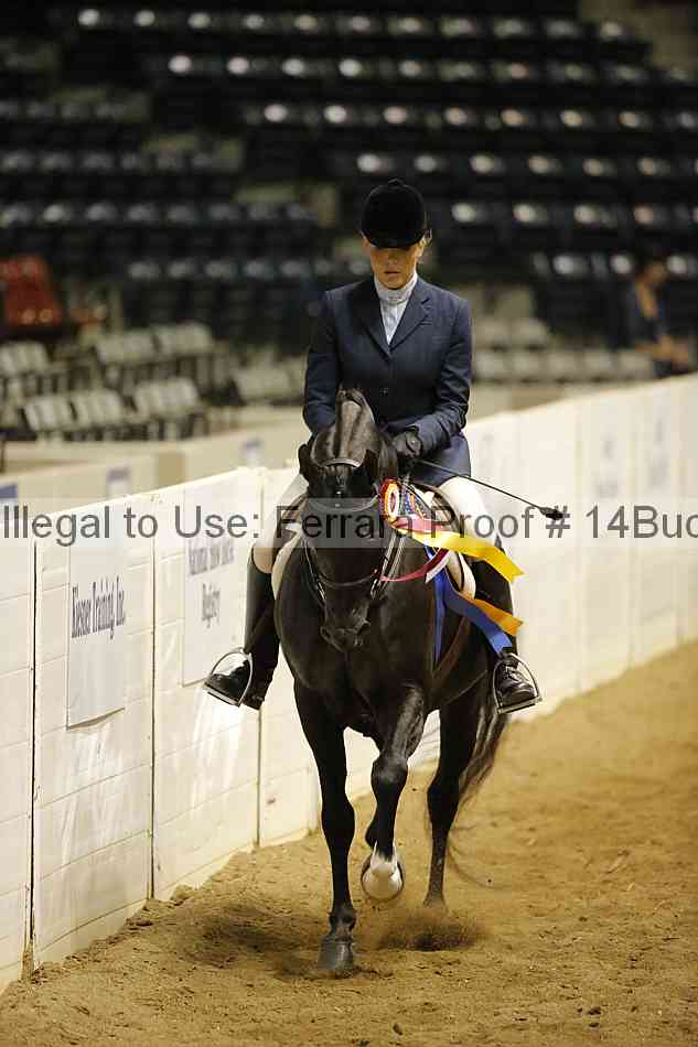 Proof 14buck_5411
