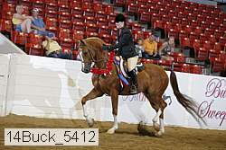 14buck_5412 proof