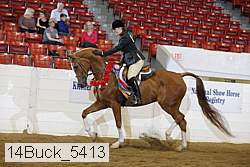 14buck_5413 proof