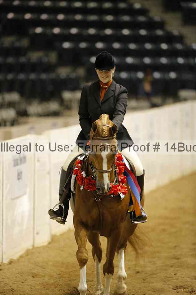 Proof 14buck_5416