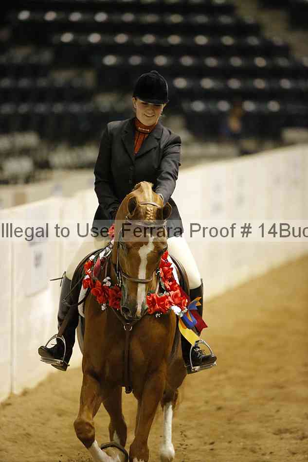 Proof 14buck_5417