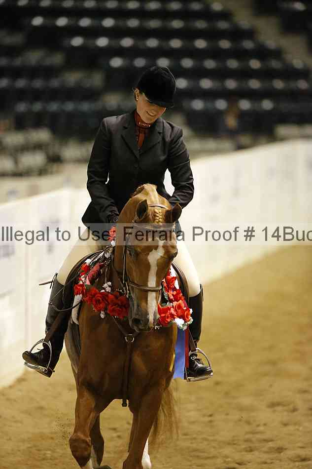 Proof 14buck_5418