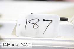 14buck_5420 proof