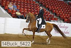 14buck_5422 proof
