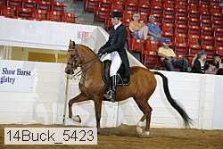 14buck_5423 proof