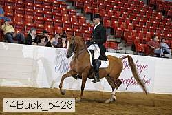 14buck_5428 proof