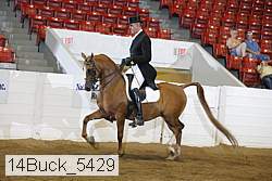 14buck_5429 proof