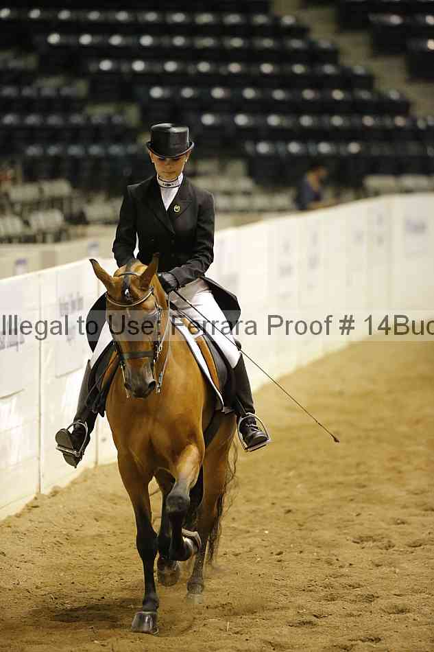 Proof 14buck_5430