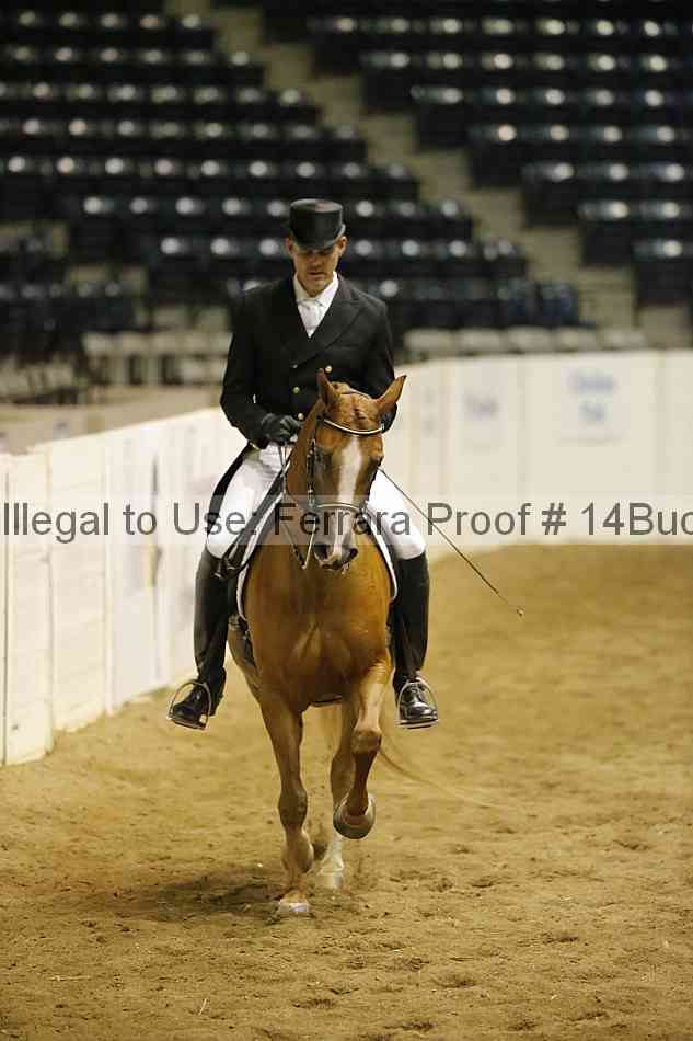 Proof 14buck_5431