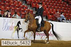 14buck_5432 proof