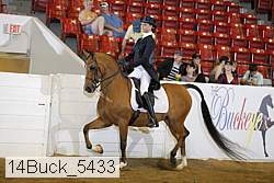 14buck_5433 proof