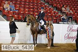 14buck_5436 proof