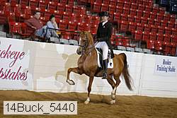 14buck_5440 proof