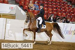 14buck_5441 proof