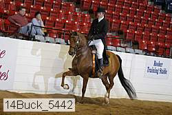 14buck_5442 proof