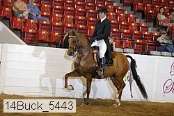 14buck_5443 proof