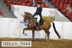 14buck_5444 proof
