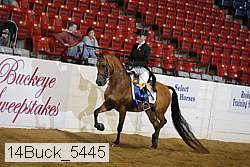 14buck_5445 proof