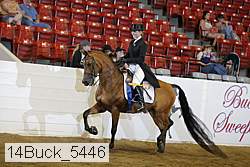 14buck_5446 proof