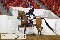14buck_5451 proof