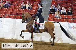 14buck_5452 proof