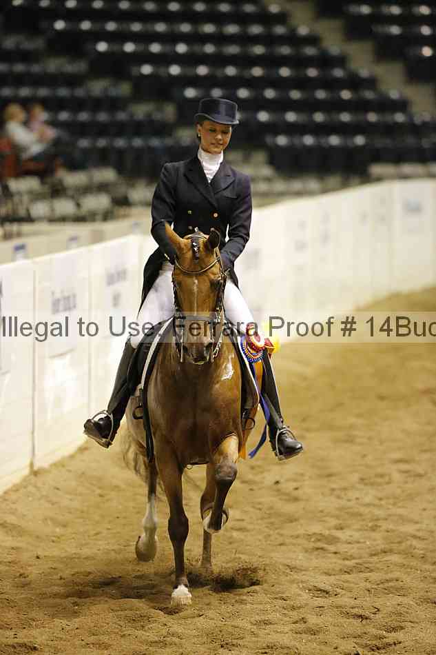 Proof 14buck_5455