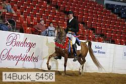 14buck_5456 proof