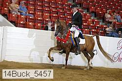 14buck_5457 proof