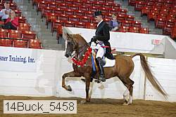 14buck_5458 proof
