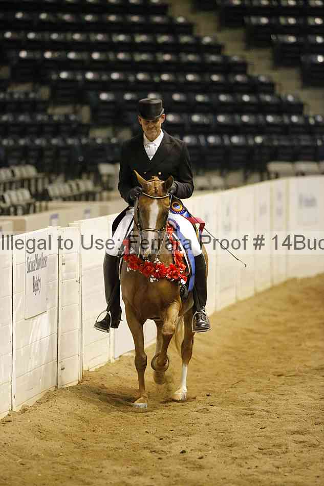Proof 14buck_5460