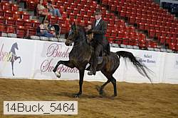 14buck_5464 proof